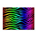 Rainbow Zebra Sticker A4 (10 pack)