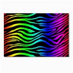 Rainbow Zebra Postcard 4 x 6  (Pkg of 10)