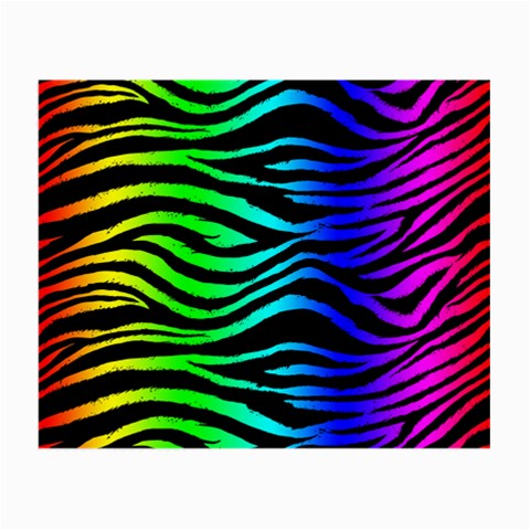 Rainbow Zebra Glasses Cloth (Small) from ArtsNow.com Front