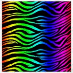 Rainbow Zebra Canvas 16  x 16 