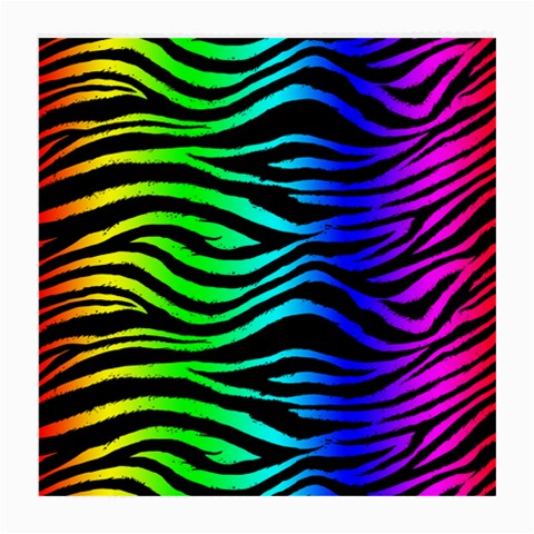 Rainbow Zebra Glasses Cloth (Medium) from ArtsNow.com Front