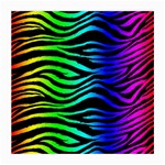 Rainbow Zebra Glasses Cloth (Medium, Two Sides)