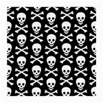 Skull and Crossbones Glasses Cloth (Medium, Two Sides)