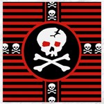 Skull Cross Canvas 20  x 20 