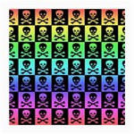 Rainbow Skull Checkerboard Glasses Cloth (Medium)