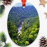 Pa Grand Canyon Long North View Of Gorge   Artrave Ornament (Oval)