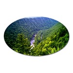 Pa Grand Canyon Long North View Of Gorge   Artrave Magnet (Oval)