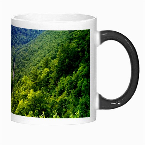 Pa Grand Canyon Long North View Of Gorge   Artrave Morph Mug from ArtsNow.com Right