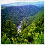 Pa Grand Canyon Long North View Of Gorge   Artrave Canvas 16  x 16 