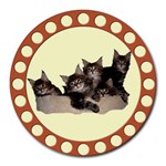 Maine coone kittens Round Mousepad