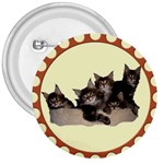 Maine coone kittens 3  Button