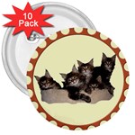 Maine coone kittens 3  Button (10 pack)