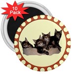 Maine coone kittens 3  Magnet (10 pack)