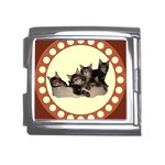 Maine coone kittens Mega Link Italian Charm (18mm)