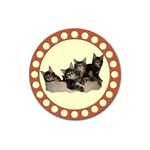 Maine coone kittens Magnet 3  (Round)
