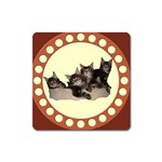 Maine coone kittens Magnet (Square)