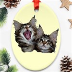 Yawning kitten Ornament (Oval)