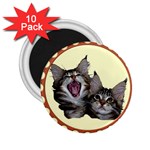 Yawning kitten 2.25  Magnet (10 pack)
