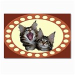 Yawning kitten Postcard 4 x 6  (Pkg of 10)