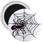 Spider in web 3  Magnet