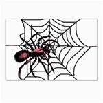 Spider in web Postcard 5  x 7 