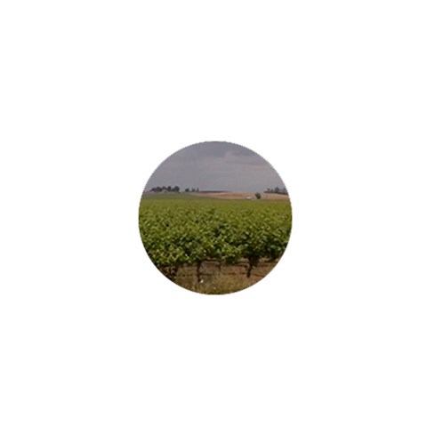 Vineyard Under the Clouds 1  Mini Button from ArtsNow.com Front