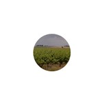 Vineyard Under the Clouds 1  Mini Button