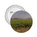 Vineyard Under the Clouds 2.25  Button