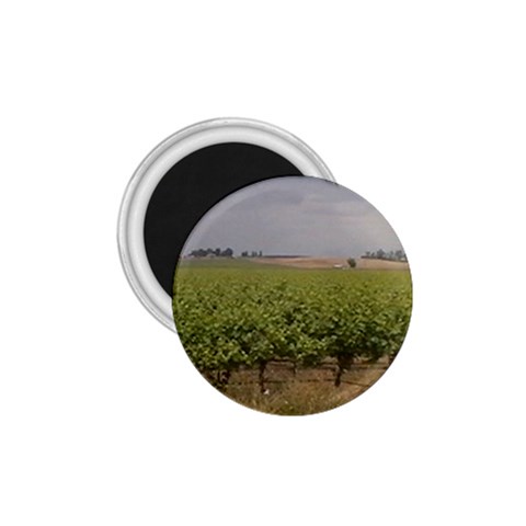 Vineyard Under the Clouds 1.75  Magnet from ArtsNow.com Front