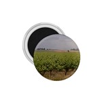 Vineyard Under the Clouds 1.75  Magnet