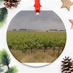 Vineyard Under the Clouds Ornament (Round)