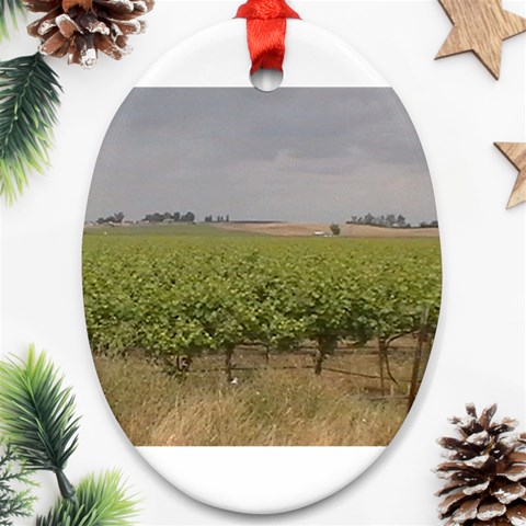 Vineyard Under the Clouds Ornament (Oval) from ArtsNow.com Front