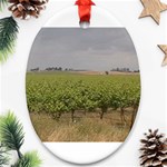 Vineyard Under the Clouds Ornament (Oval)