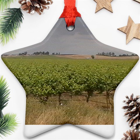 Vineyard Under the Clouds Ornament (Star) from ArtsNow.com Front