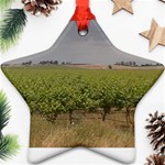 Vineyard Under the Clouds Ornament (Star)