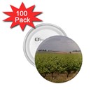 Vineyard Under the Clouds 1.75  Button (100 pack) 
