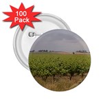 Vineyard Under the Clouds 2.25  Button (100 pack)