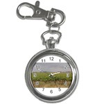 Vineyard Under the Clouds Key Chain Watch