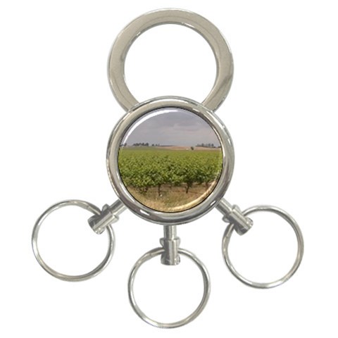 Vineyard Under the Clouds 3 Front
