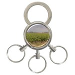 Vineyard Under the Clouds 3-Ring Key Chain