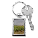 Vineyard Under the Clouds Key Chain (Rectangle)