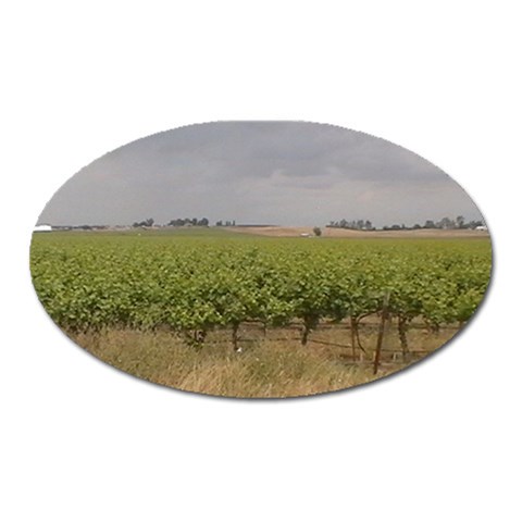 Vineyard Under the Clouds Magnet (Oval) from ArtsNow.com Front