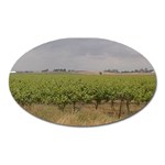 Vineyard Under the Clouds Magnet (Oval)