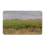 Vineyard Under the Clouds Magnet (Rectangular)
