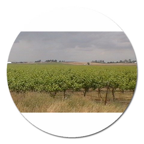 Vineyard Under the Clouds Magnet 5  (Round) from ArtsNow.com Front