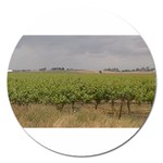 Vineyard Under the Clouds Magnet 5  (Round)