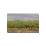 Vineyard Under the Clouds Magnet (Name Card)
