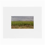 Vineyard Under the Clouds Glasses Cloth (Small)