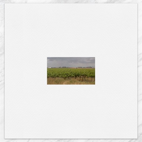 Vineyard Under the Clouds Canvas 12  x 12  from ArtsNow.com 11.4 x11.56  Canvas - 1