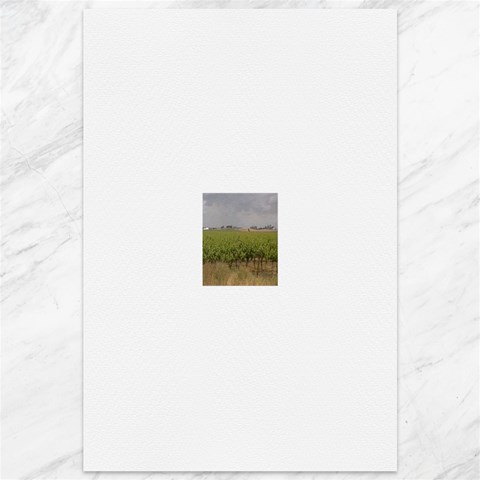 Vineyard Under the Clouds Canvas 12  x 18  from ArtsNow.com 11.88 x17.36  Canvas - 1